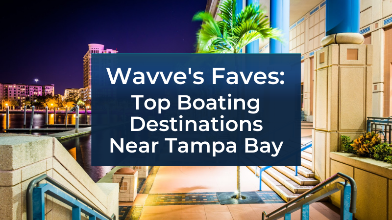 Featured blog image with Tampa Bay Night Scene