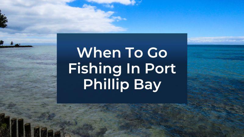 When To Fish Port Phillip