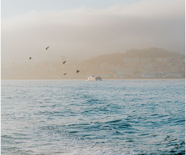 can-navigation-rules