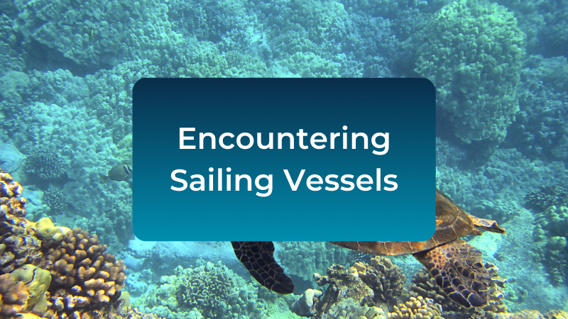 encounters-with-sailing-vessels