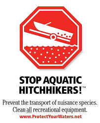 Why Should You Avoid Spreading Non-Native Species Between Waterways? Important Boat Test Guide on Non-Native and Nuisance Species