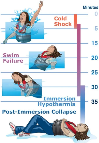 What Occurs During Stage 4 of Cold Water Immersion?