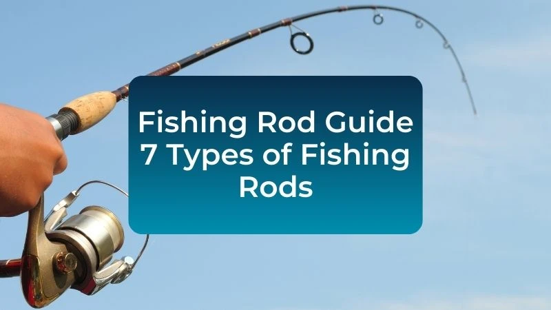 Fishing Rod Guide