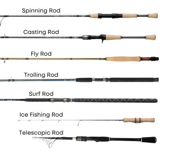 Types of fishing rods