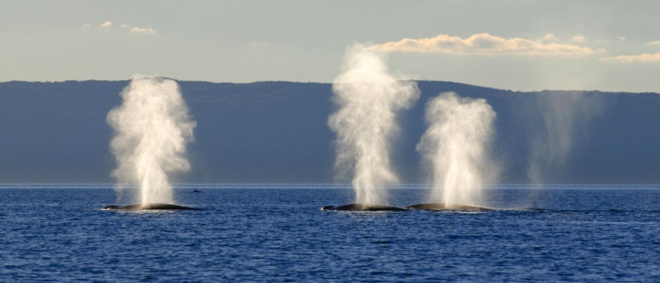 marine-protected-areas-mpa-ontario