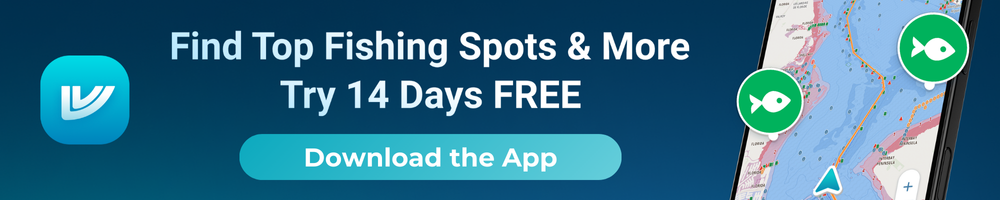 Best Fishing App 2025