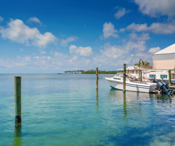 wavve-boating-best-for-floridas-shallow-water-navigation